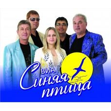 ВИА Синяя птица 4 января ДК Красное Сормово (2026-01-04)